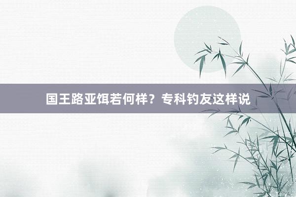 国王路亚饵若何样？专科钓友这样说